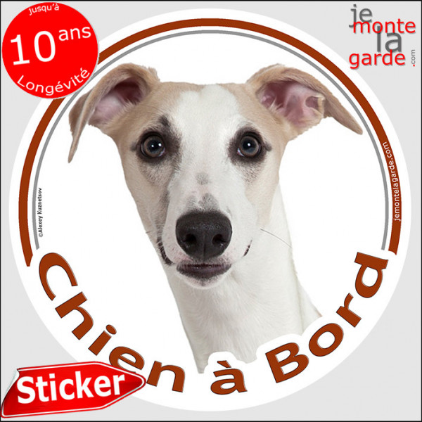 Lévrier Whippet, sticker autocollant rond "Chien à Bord" Disque adhésif vitre voiture photo sable beige, résiste pluie soleil ge