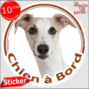 Whippet fauve sticker "Chien à Bord" 14 cm