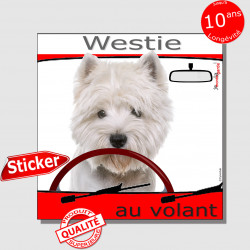 "Westie au volant" autocollant voiture 15 cm