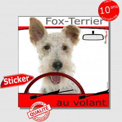 "Fox-Terrier à poils durs au volant" panneau autocollant humoristique voiture photo sticker drôle chien à bord