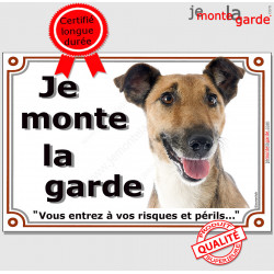 Fox Terrier poils lisses Tête, plaque portail "Je Monte la Garde, risques et périls" pancarte panneau attention au chien photo