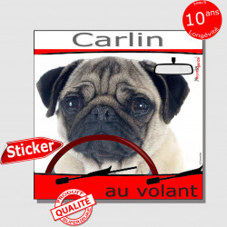 "Carlin au volant" autocollant voiture 15 cm