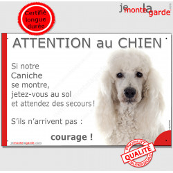 Caniche blanc, plaque portail humour "Attention au Chien, Jetez Vous au Sol, attendez secours, courage" pancarte drôle photo