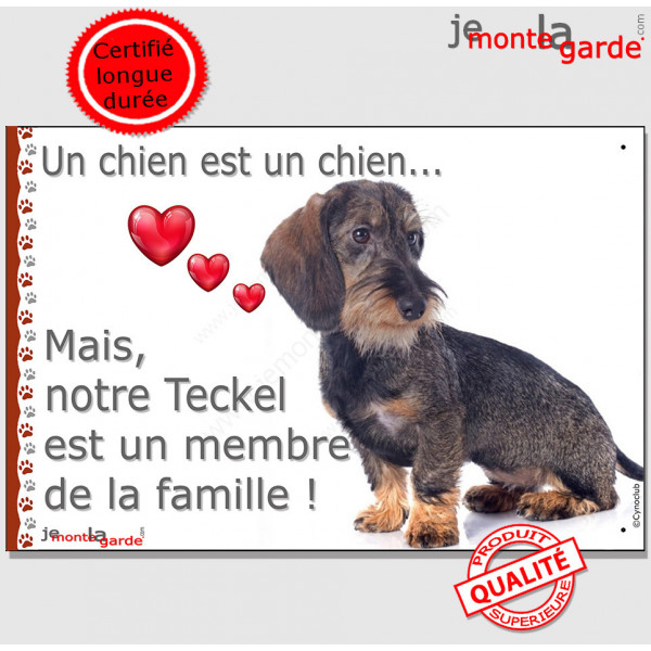 Teckel Poils Durs, Plaque "un chien est un membre de la famille" pancarte panneau attention au chien idée cadeau