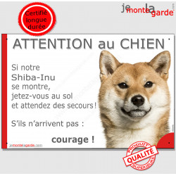 Shiba Inu fauve, plaque portail humour "Attention au Chien, Jetez Vous au So, couragel" pancarte panneau drôle photo
