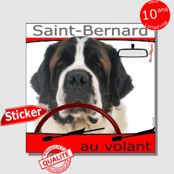 "Saint-Bernard au volant" panneau autocollant humoristique voiture photo sticker drôle chien à bord St-Bernard