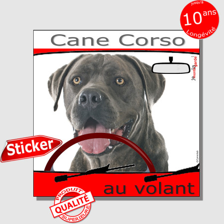"Cane Corso Italiano gris bleu au volant" panneau autocollant humoristique voiture photo sticker drôle chien à bord, résiste plu