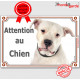 Dogue Argentin tout blanc, plaque portail "Attention au Chien" pancarte panneau photo