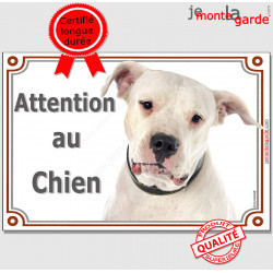 Dogue Argentin tout blanc, plaque portail "Attention au Chien" pancarte panneau photo