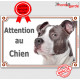 American Staff bleu, plaque portail "Attention au Chien" pancarte panneau staff gris photo amstaff