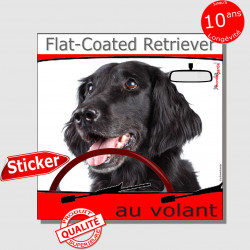 "Flat-Coated au volant" autocollant voiture 15 cm