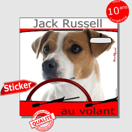 "Jack Russell Terrier blanc et fauve au volant" panneau autocollant humoristique voiture photo sticker drôle chien à bord, résis