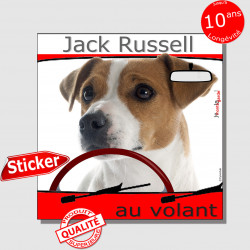 "Jack Russell Terrier blanc et fauve au volant" panneau autocollant humoristique voiture photo sticker drôle chien à bord