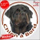 Rottweiler, sticker autocollant rond "Chien à Bord" Disque adhésif vitre voiture photo