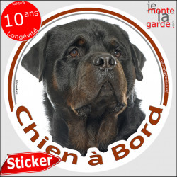 Rottweiler, sticker voiture "Chien à Bord" 14 cm