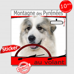 "Montagne des Pyrénées au volant" panneau autocollant humoristique voiture photo sticker drôle chien à bord Patou