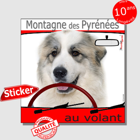 "Montagne des Pyrénées au volant" photo autocollant humour voiture, résiste pluie soleil gel, idée cadeau, 2 tailles D