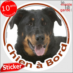 Beauceron, sticker voiture "Chien à Bord" 2 tailles