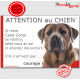 Cane Corso fauve marron, Panneau humour "Attention au Chien, se montre, jetez-vous au sol et attendez secours" plaque photo