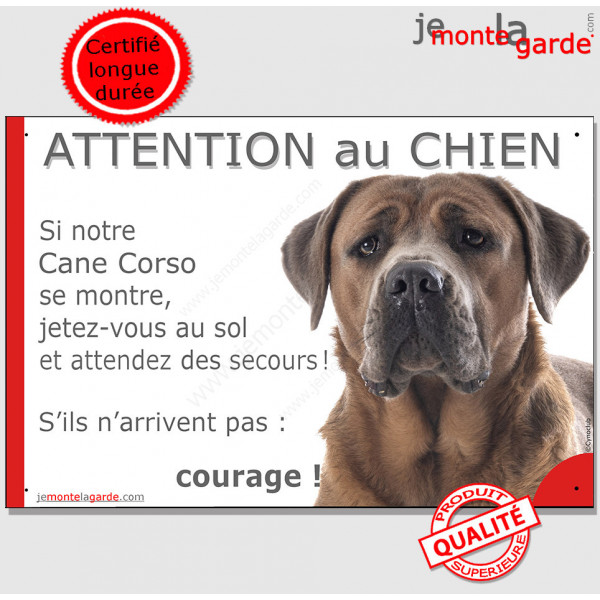 Cane Corso fauve marron, Panneau humour "Attention au Chien, se montre, jetez-vous au sol et attendez secours" plaque photo