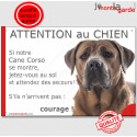 Cane Corso, plaque" Jetez Vous au Sol, Attention au Chien" 24 cm JET