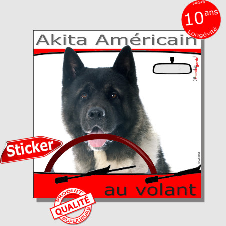 "Akita Américain bringé et blanc au volant" panneau autocollant humoristique voiture photo sticker drôle chien à bord Akita USA
