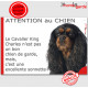 Plaque "Attention au Chien, le Cavalier King Charles noir et feu est une excellente sonnette" pancarte photo panneau humour