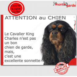 Plaque "Attention au Chien, le Cavalier King Charles noir et feu est une excellente sonnette" pancarte photo panneau humour
