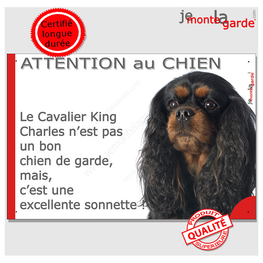 Attention au Chien French Enamel Plaque, Large