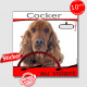 "Cocker Anglais Spaniel Golden roux au volant" panneau autocollant humoristique voiture photo sticker drôle chien à bord