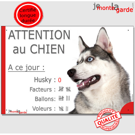 Husky Gris Tête, Pancarte Portail humour "Attention au Chien, A ce jour : nombre de Facteurs, Voleurs, Ballons !" photo, résiste
