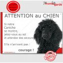 Caniche, plaque humour "Jetez Vous au Sol, Attention au Chien" 24 cm JET