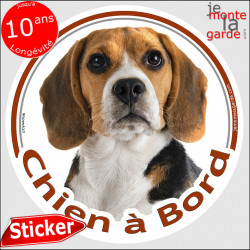 Beagle tricolore, sticker "Chien à Bord" 14 cm