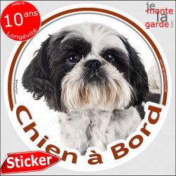 Shih-tzu, sticker voiture "Chien à Bord" 14 cm