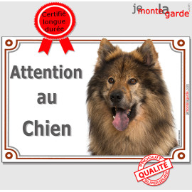 Eurasier bringé, Agouti, plaque portail "Attention au Chien" photo, résiste pluie soleil gel, idée cadeau