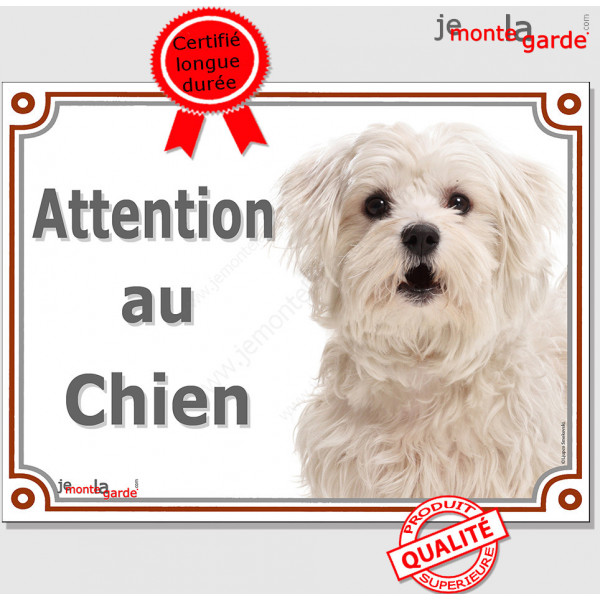 Bichon Maltais, plaque portail "Attention au Chien" pancarte panneau photo affiche entrée