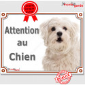 Bichon Maltais, plaque portail "Attention au Chien" 2 tailles LUX D