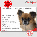 Plaque "Attention au Chien, le Chihuahua est une sonnette" 24 cm RNG