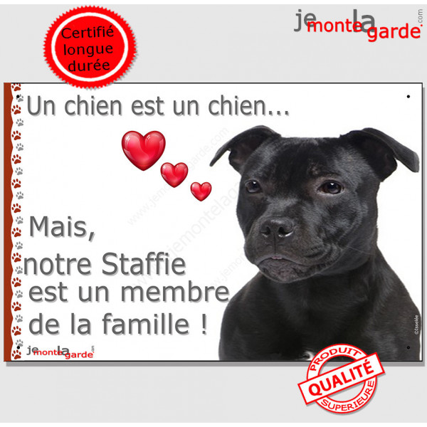 Staffie noir, plaque "un chien est un membre de la famille" pancarte, affiche panneau staffy idée cadeau cadre