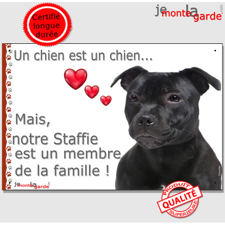 Staffie noir, plaque "un chien est un membre de la famille" staffy cadre, résiste pluie soleil gel, idée cadeau