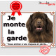 Terre Neuve marron chocolat, plaque portail "Je Monte la Garde, risques périls" pancarte panneau photo