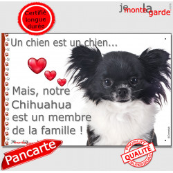 Chihuahua noir et blanc poils longs, plaque "Un chien est Membre de la Famille" photo panneau idée cadeau cadre pancarte affiche
