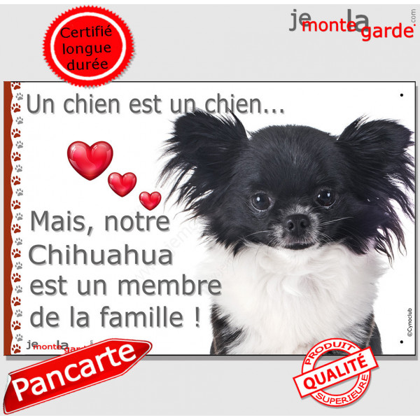 Chihuahua noir et blanc poils longs, plaque "Un chien est Membre de la Famille" photo panneau idée cadeau cadre pancarte affiche