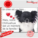 Chihuahua, plaque "Membre de la Famille" 24 cm LOVE