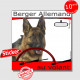 "Berger Allemand au volant" panneau autocollant humoristique voiture photo sticker BA poils courts noir et feu chien à bord