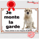 Labrador sable clair assis, plaque portail "je Monte la Garde, risques et périls" pancarte panneau photo poil beige blanc