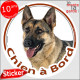 Berger Allemand gris poils courts, sticker autocollant rond "Chien à Bord" Disque adhésif voiture photo