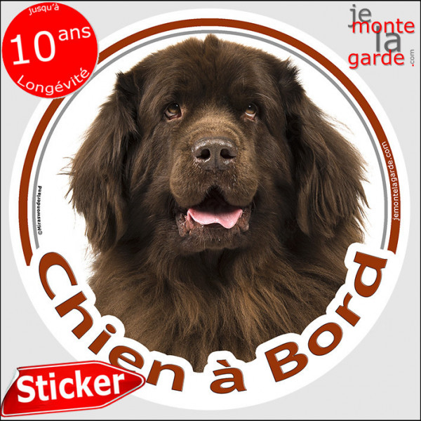 Terre Neuve marron chocolat, Sticker autocollant rond "Chien à Bord" Disque adhésif vitre voiture photo brun