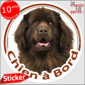 Terre Neuve, sticker voiture "Chien à Bord" 2 tailles