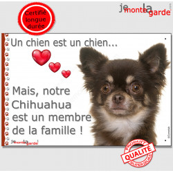 Chihuahua marron chocolat et Tan beige poils longs, plaque "Un chien est Membre de la Famille" photo panneau idée cadeau cadre